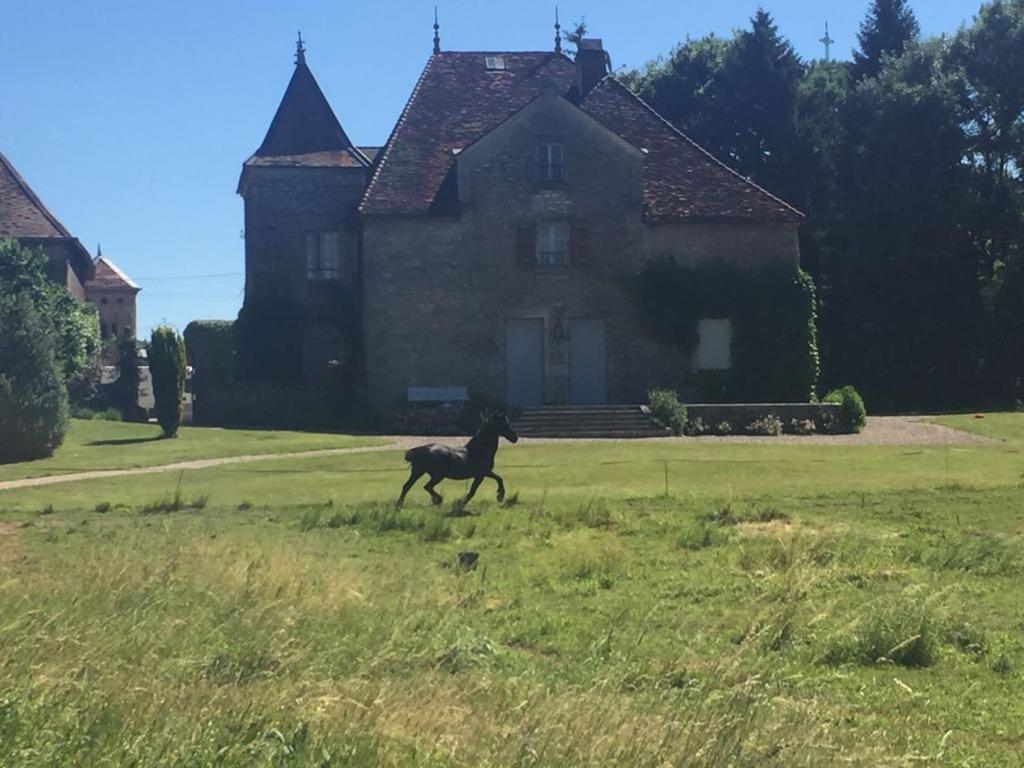 Ferienwohnung Au Chateau Miserey-Salines Exterior foto